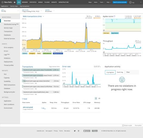 Screenshot of NewRelic overview page